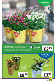 Lidl leaflet week 22 Page 23