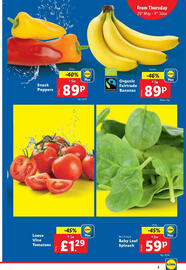 Lidl leaflet week 22 Page 3