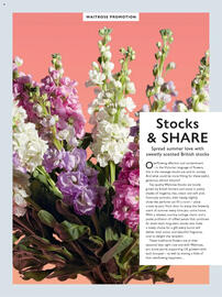 Waitrose leaflet Page 63