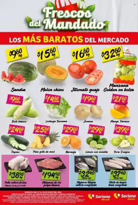 Catálogo Soriana Súper (válido hasta 29-05)