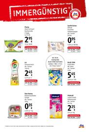 dm Flugblatt Seite 10
