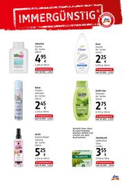 dm Flugblatt Seite 5