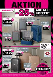Woolworth Flugblatt Seite 13