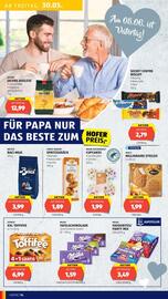 Hofer Flugblatt woche 22 Seite 16