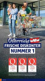 Hofer Flugblatt woche 22 Seite 4
