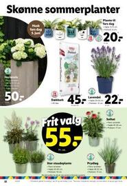 Lidl tilbudsavis uge 23 Side 34