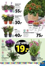 Lidl tilbudsavis uge 23 Side 35