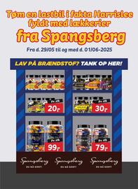 Fakta Tyskland tilbudsavis Side 17