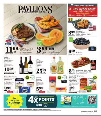 Pavilions Weekly Ad (valid until 3-06)