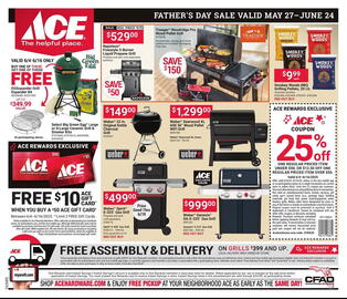 Ace Hardware Weekly Ad Page 1