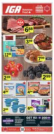 IGA flyer Page 1
