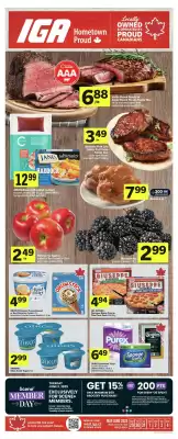 IGA flyer (valid until 9-06)