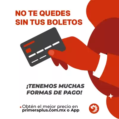 Catálogo Primera Plus/Flecha Amarilla (válido hasta 28-05)