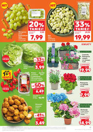 Kaufland gazetka Strona 17