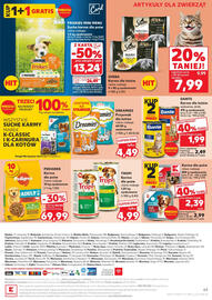 Kaufland gazetka Strona 49