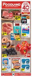Foodland flyer week 22 Page 1