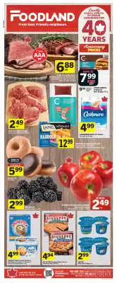 Foodland flyer (valid until 4-06)