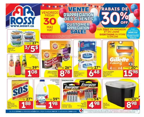 Rossy flyer (valid until 4-06)