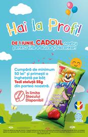 Catalog PROFI Pagină 3