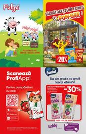 Catalog PROFI Pagină 13