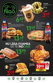 Catalog PROFI Pagină 17