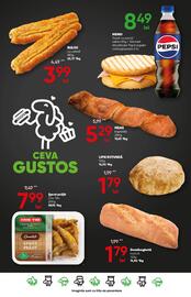 Catalog PROFI Pagină 18