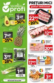 Catalog PROFI Pagină 6