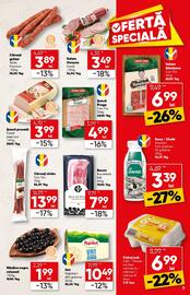 Catalog PROFI Pagină 7