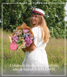 Bilka tilbudsavis uge 22 Side 43