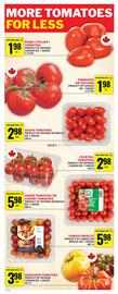 Food Basics flyer week 22 Page 20