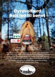 Netto tilbudsavis uge 22 Side 17