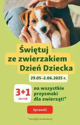 Maxi Zoo gazetka