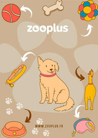 Catalogue Zooplus page 10