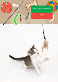Catalogue Zooplus page 5