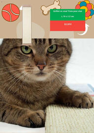 Catalogue Zooplus page 6