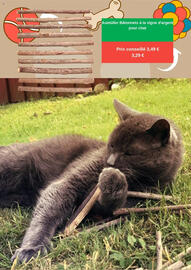 Catalogue Zooplus page 7