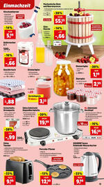 Thomas Philipps Flugblatt woche 23 Seite 13