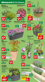 Thomas Philipps Flugblatt woche 23 Seite 3