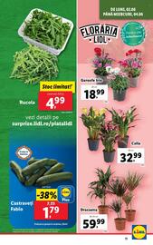 Catalog Lidl săptămâna 23 Pagină 11