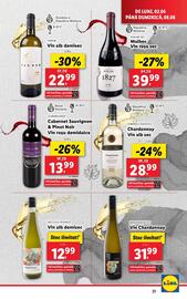 Catalog Lidl săptămâna 23 Pagină 21