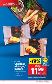 Catalog Lidl săptămâna 23 Pagină 4