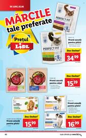 Catalog Lidl săptămâna 23 Pagină 40