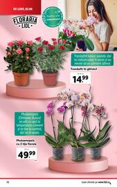 Catalog Lidl săptămâna 23 Pagină 72