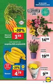 Catalog Lidl săptămâna 23 Pagină 79