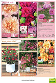 Blumen Risse Prospekt Seite 3