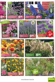 Blumen Risse Prospekt Seite 5