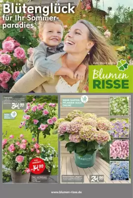 Blumen Risse Prospekt (gültig bis 9-06)