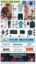 Lidl Weekly Ad week 22 Page 9