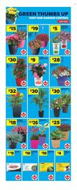 Real Canadian Superstore flyer week 22 Page 8