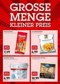 Der Grissemann Flugblatt Seite 9